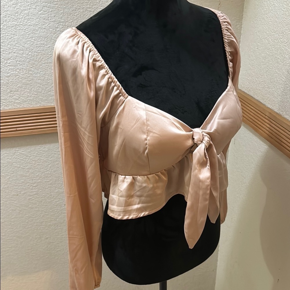 Rabbit Hole Blush Pink  XL Women's Crop Top! - Picture 5 of 5